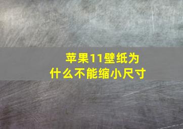 苹果11壁纸为什么不能缩小尺寸