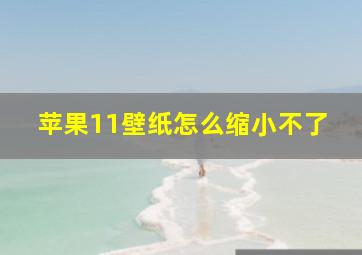 苹果11壁纸怎么缩小不了