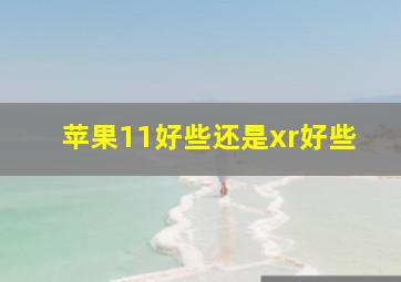 苹果11好些还是xr好些