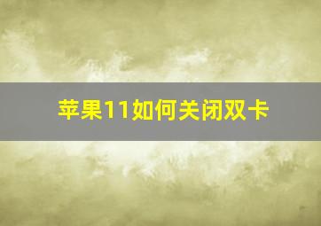 苹果11如何关闭双卡