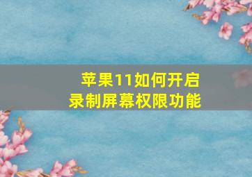 苹果11如何开启录制屏幕权限功能