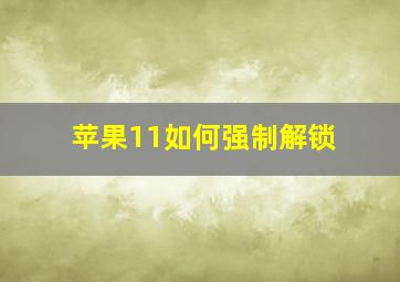 苹果11如何强制解锁