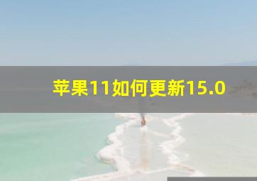 苹果11如何更新15.0