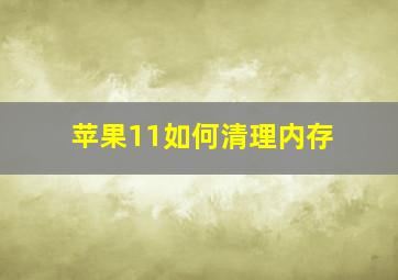 苹果11如何清理内存