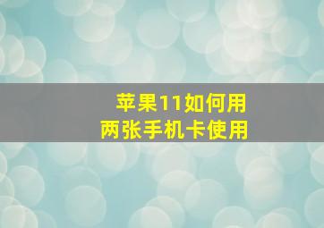 苹果11如何用两张手机卡使用