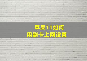 苹果11如何用副卡上网设置