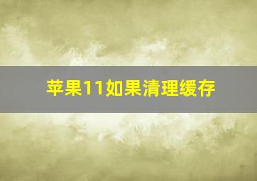 苹果11如果清理缓存