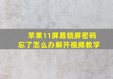 苹果11屏幕锁屏密码忘了怎么办解开视频教学