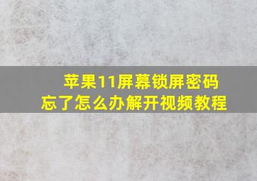 苹果11屏幕锁屏密码忘了怎么办解开视频教程