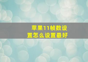 苹果11帧数设置怎么设置最好