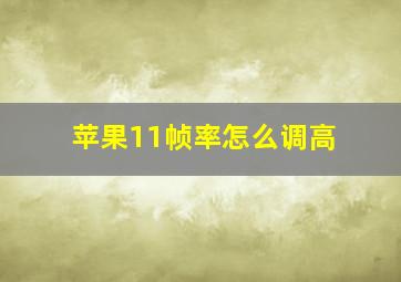 苹果11帧率怎么调高