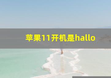 苹果11开机是hallo