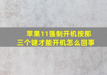 苹果11强制开机按那三个键才能开机怎么回事