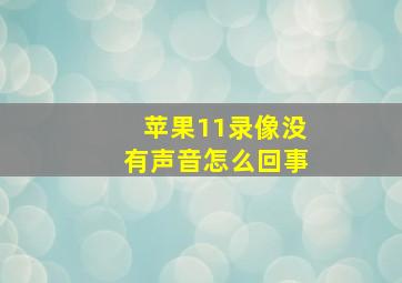 苹果11录像没有声音怎么回事