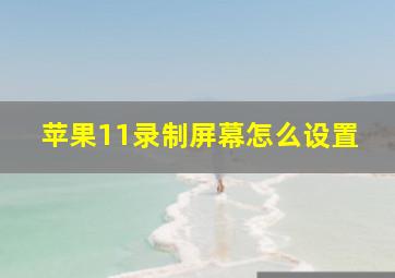 苹果11录制屏幕怎么设置