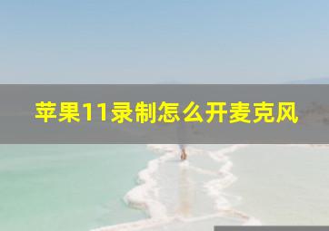 苹果11录制怎么开麦克风