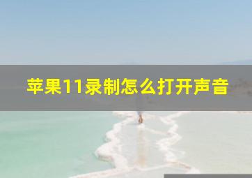 苹果11录制怎么打开声音