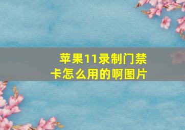 苹果11录制门禁卡怎么用的啊图片