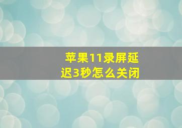 苹果11录屏延迟3秒怎么关闭