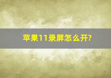 苹果11录屏怎么开?