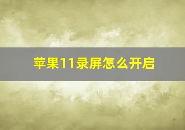 苹果11录屏怎么开启