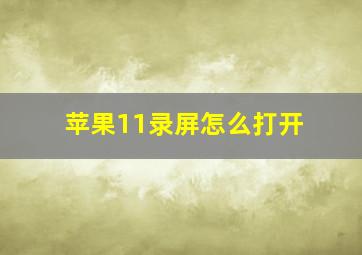 苹果11录屏怎么打开