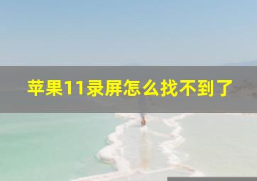 苹果11录屏怎么找不到了