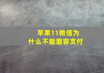 苹果11微信为什么不能面容支付