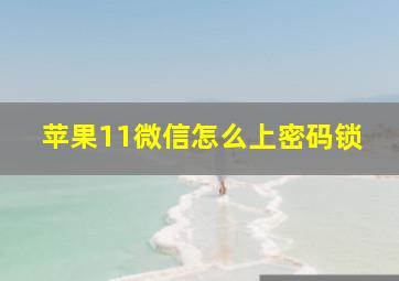 苹果11微信怎么上密码锁