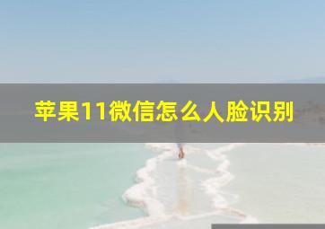 苹果11微信怎么人脸识别