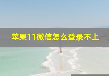 苹果11微信怎么登录不上