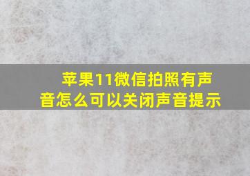 苹果11微信拍照有声音怎么可以关闭声音提示