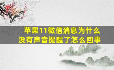 苹果11微信消息为什么没有声音提醒了怎么回事