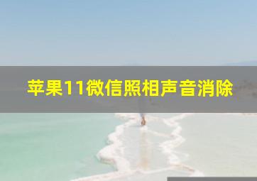 苹果11微信照相声音消除