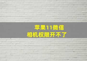 苹果11微信相机权限开不了