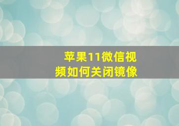 苹果11微信视频如何关闭镜像