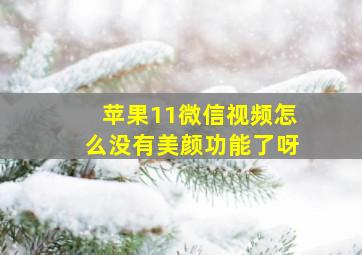 苹果11微信视频怎么没有美颜功能了呀