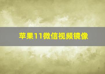 苹果11微信视频镜像