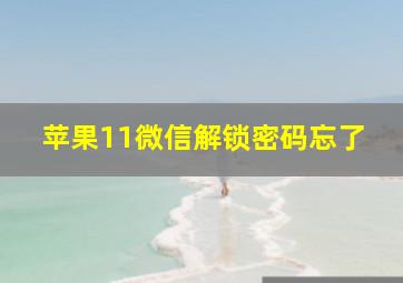 苹果11微信解锁密码忘了