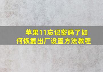 苹果11忘记密码了如何恢复出厂设置方法教程