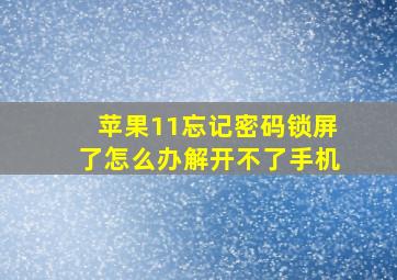 苹果11忘记密码锁屏了怎么办解开不了手机