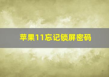 苹果11忘记锁屏密码