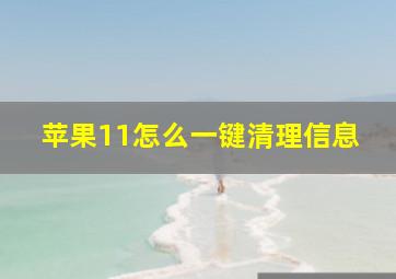 苹果11怎么一键清理信息