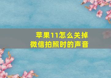 苹果11怎么关掉微信拍照时的声音