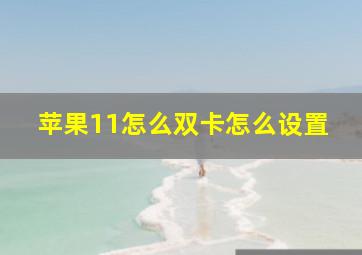 苹果11怎么双卡怎么设置