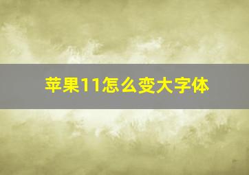 苹果11怎么变大字体