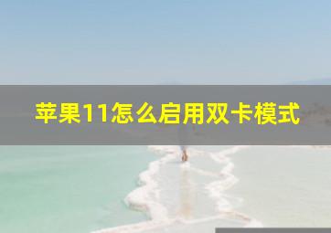 苹果11怎么启用双卡模式