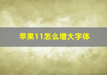 苹果11怎么增大字体