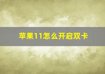 苹果11怎么开启双卡