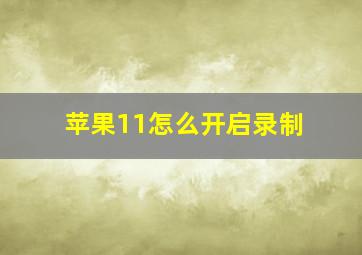 苹果11怎么开启录制